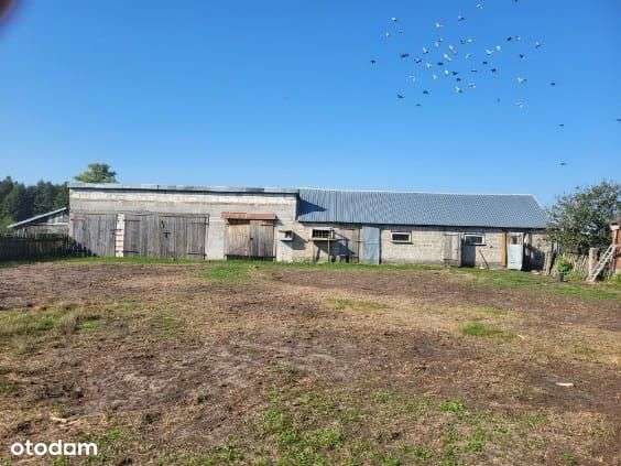 Dom na sprzedaż z dużym terenem i garażem - Pełny obrazek: 4/8