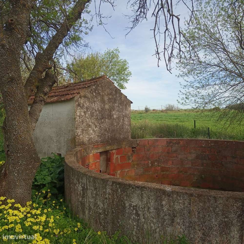 Terreno com Monte Alentejano-10