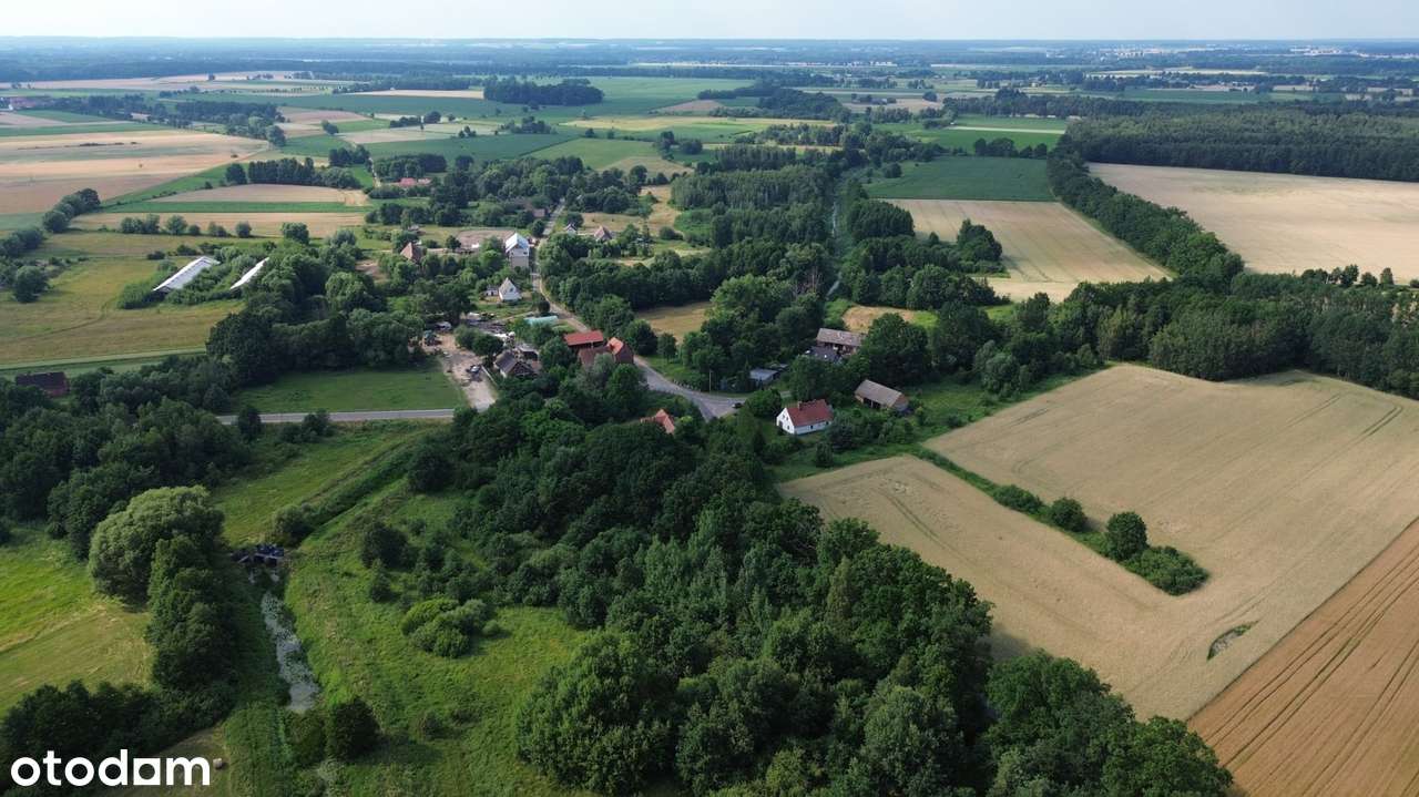 Wyjątkowa posiadłość w sercu lasu | Henrykowice k. Milicza | Dom 280 m-9
