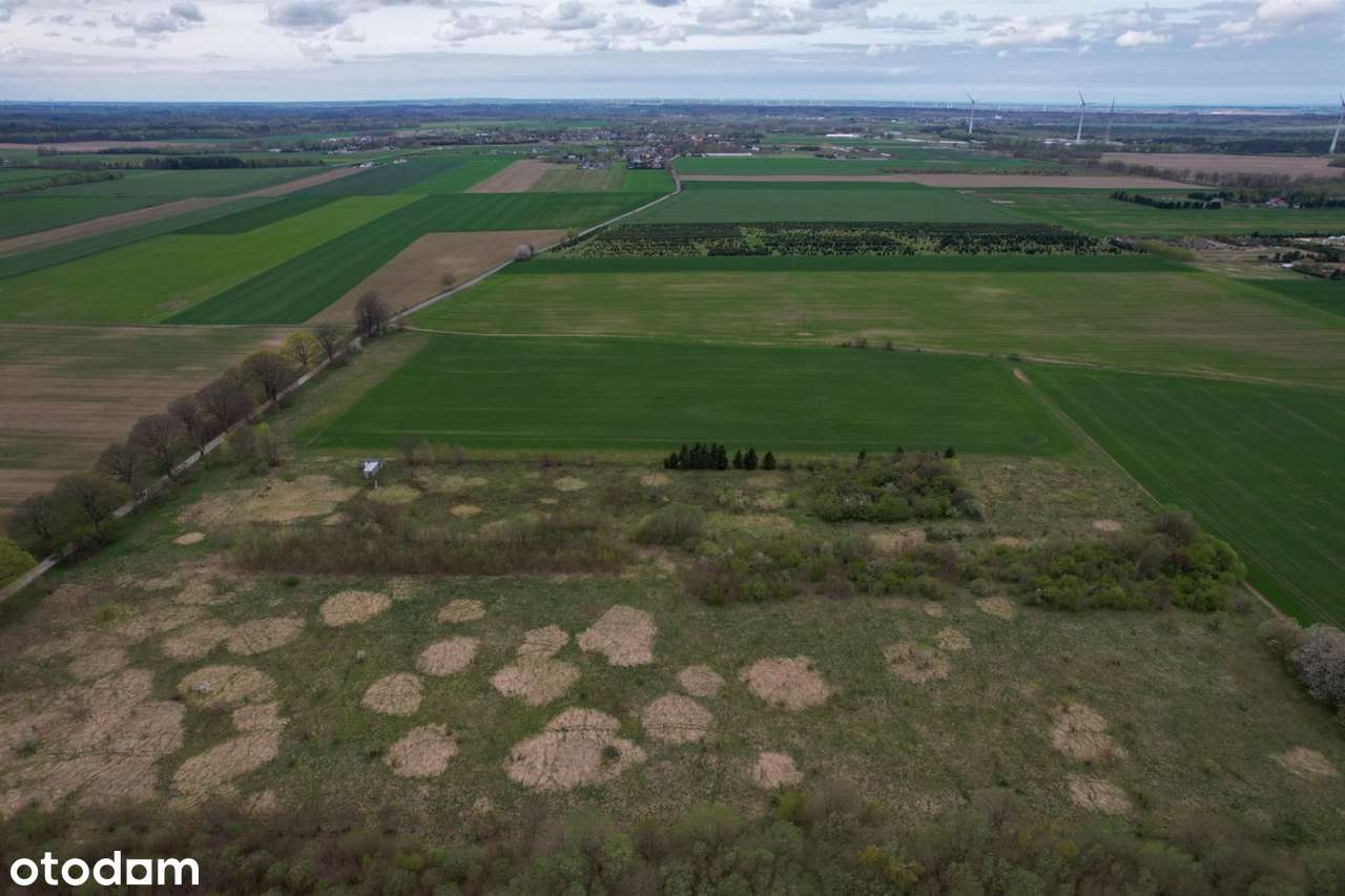 Działki budowlane ul. Legionów Polskich | Słupsk - Pełny obrazek: 4/5