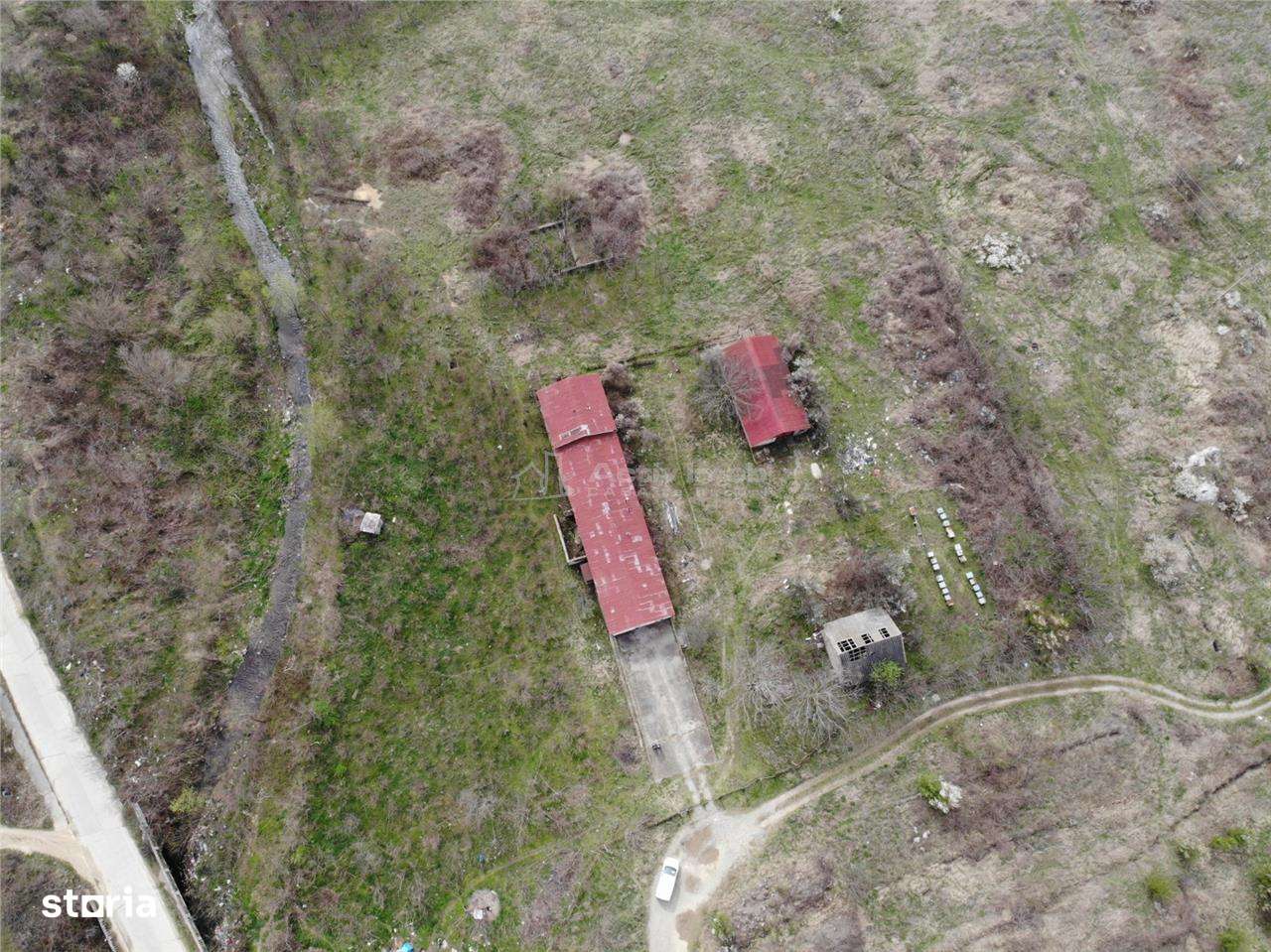 Moldova Noua, Proprietate cu Destinatie Multipla: Hala ProductieProces - Imagine principală: 4/19