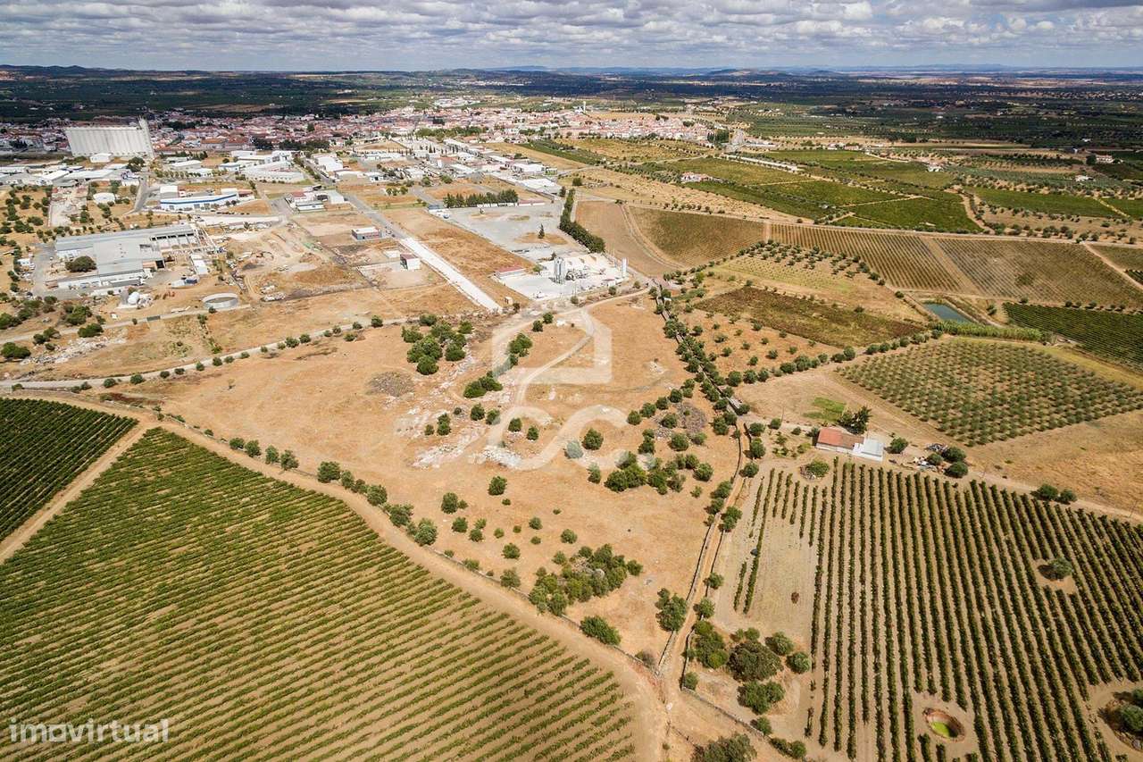 Terreno com 36 500 m2 para construção | Reguengos de Monsaraz - Grande imagem: 3/15