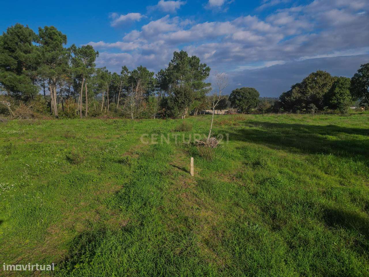 Terreno Agrícola em Montemor o Velho - Oportunidade Única-18