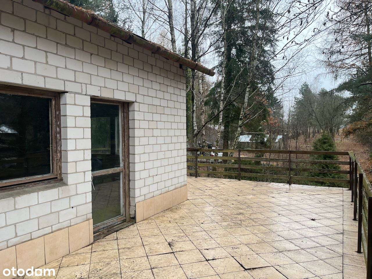 Dz. letniskowa blisko rzeki Świder 30 min z Warszawy S8 opcja podziału-14