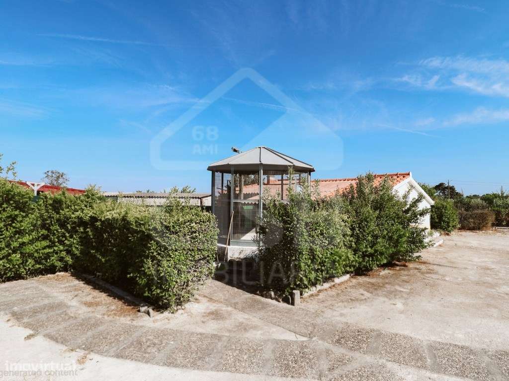 Quinta T5 na Branca-28