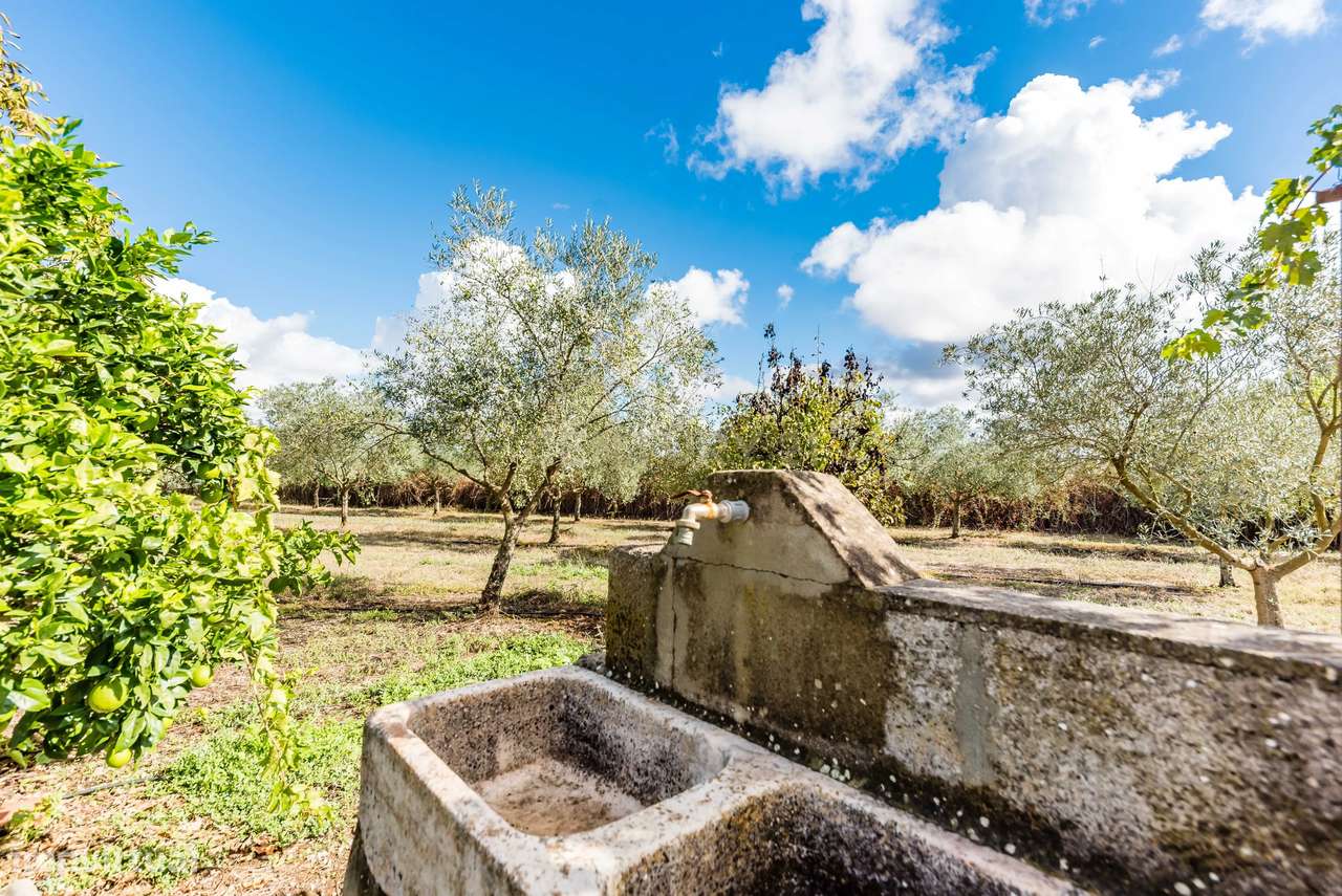 Monte Alentejano em Casa Branca, Sousel - 2 Quartos e Vista Campestre-16