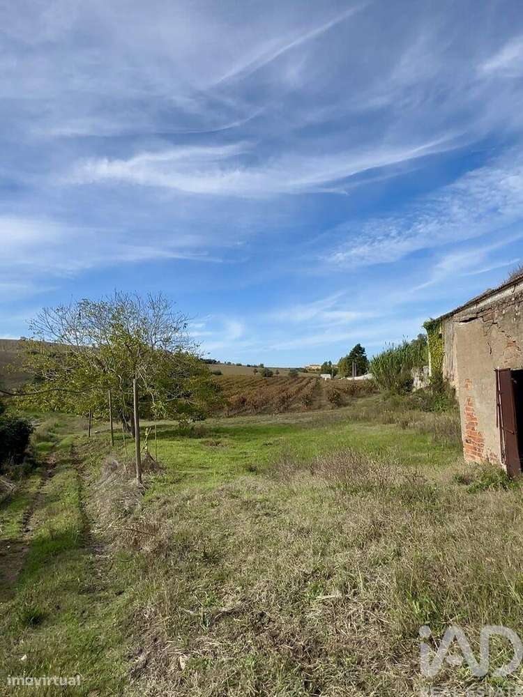 Casa de Campo T4 em Ribafria e Pereiro de Palhacana de 396 m2 - Grande imagem: 5/9