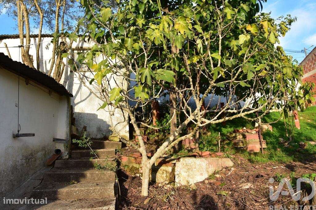 Moradia térrea T2 em Chamusca e Pinheiro Grande - Grande imagem: 4/40