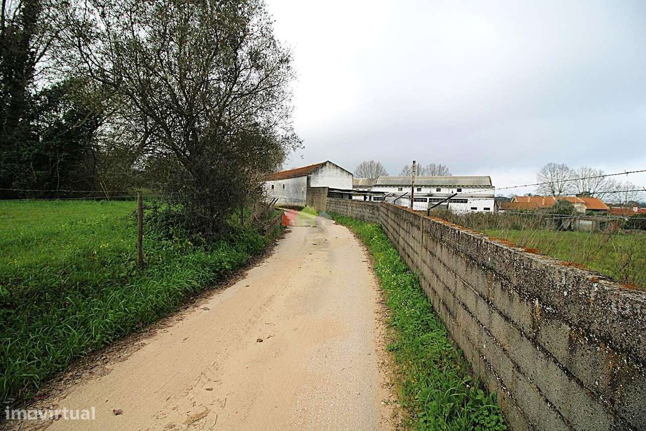 Terreno Rústico de 5.005m2 na Quinta das Façalvas - Palmela - Grande imagem: 4/23