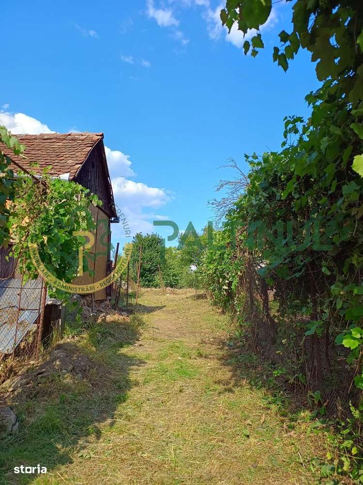 Casă cu teren 1.647 mp de vânzare – Hașag, Sibiu - Imagine principală: 3/4