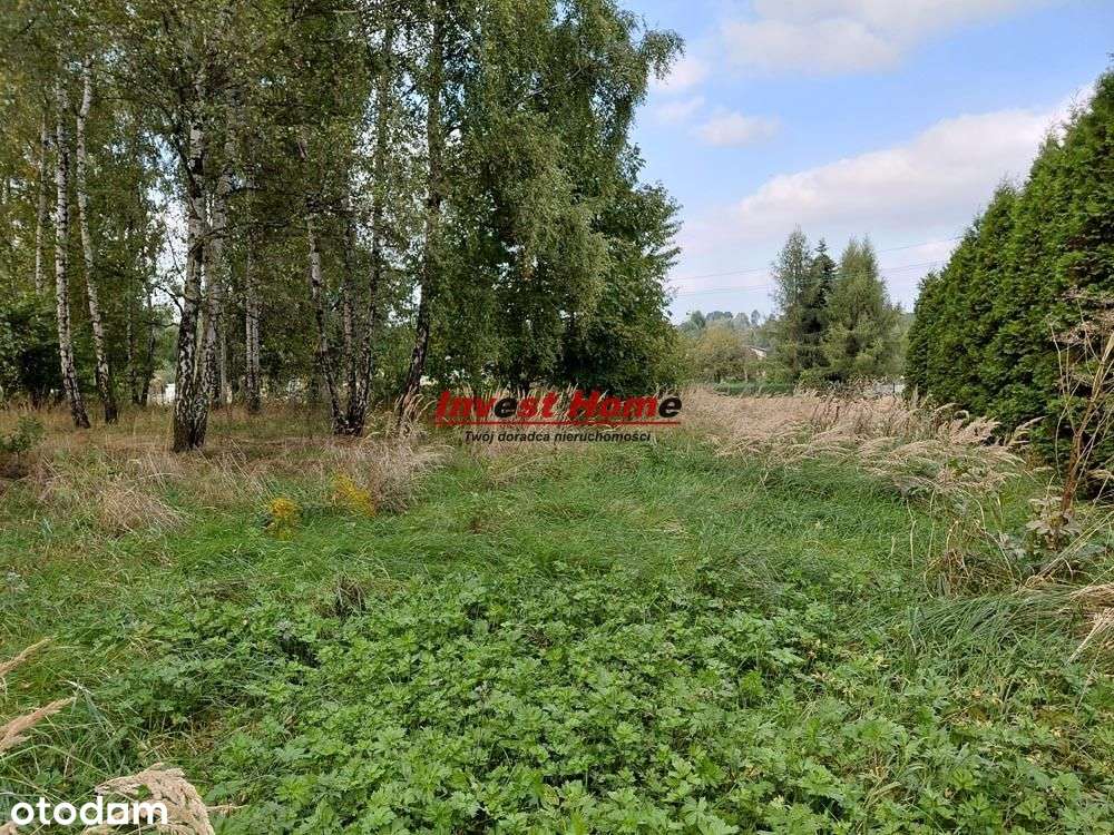 ✅ Piękna działka 1000 m2 Rydułtowy, Kordeckiego✅ - Pełny obrazek: 5/7