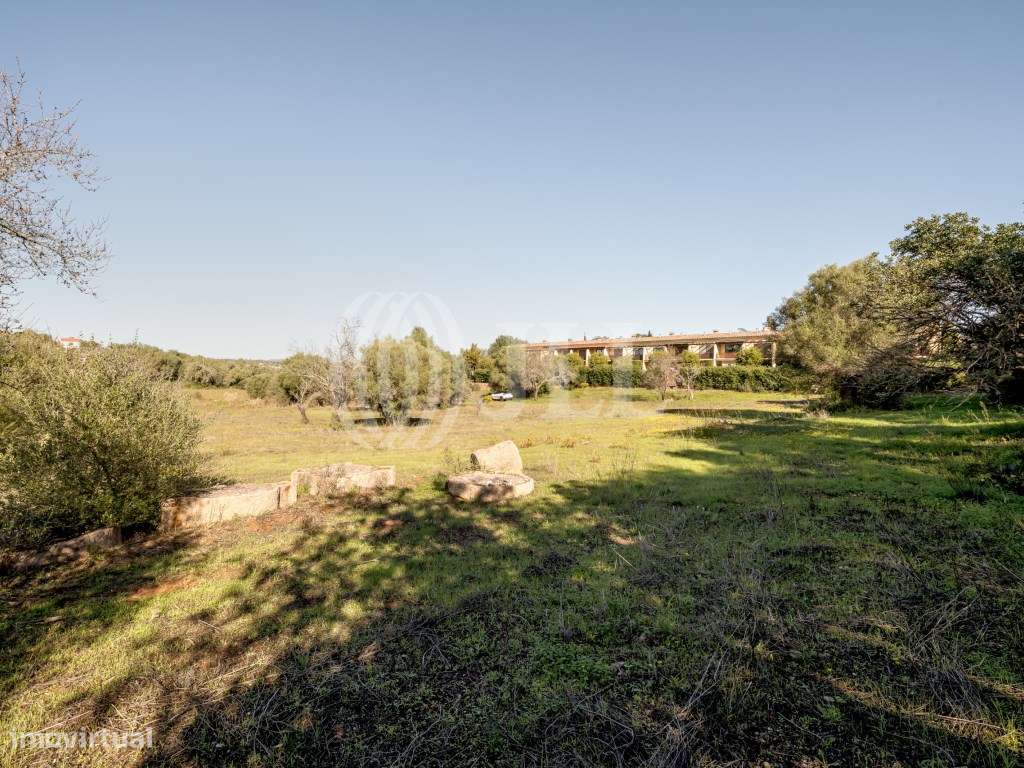 Terreno com ruína, em Alcantarilha, Pêra, Silves, Algarve - Grande imagem: 4/35