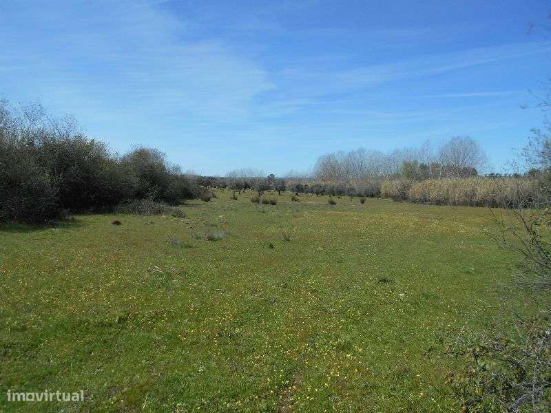 Quinta - Grande imagem: 2/15