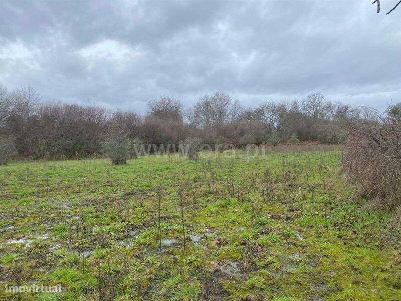 Terreno Rústico / Fundão, Orca - Grande imagem: 5/6