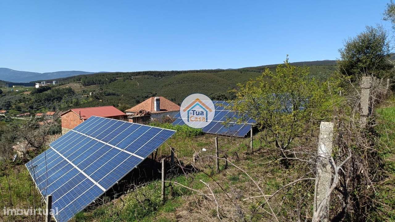 O Seu Paraíso Verde com Rendimento Extra Espera por si! - Grande imagem: 3/16