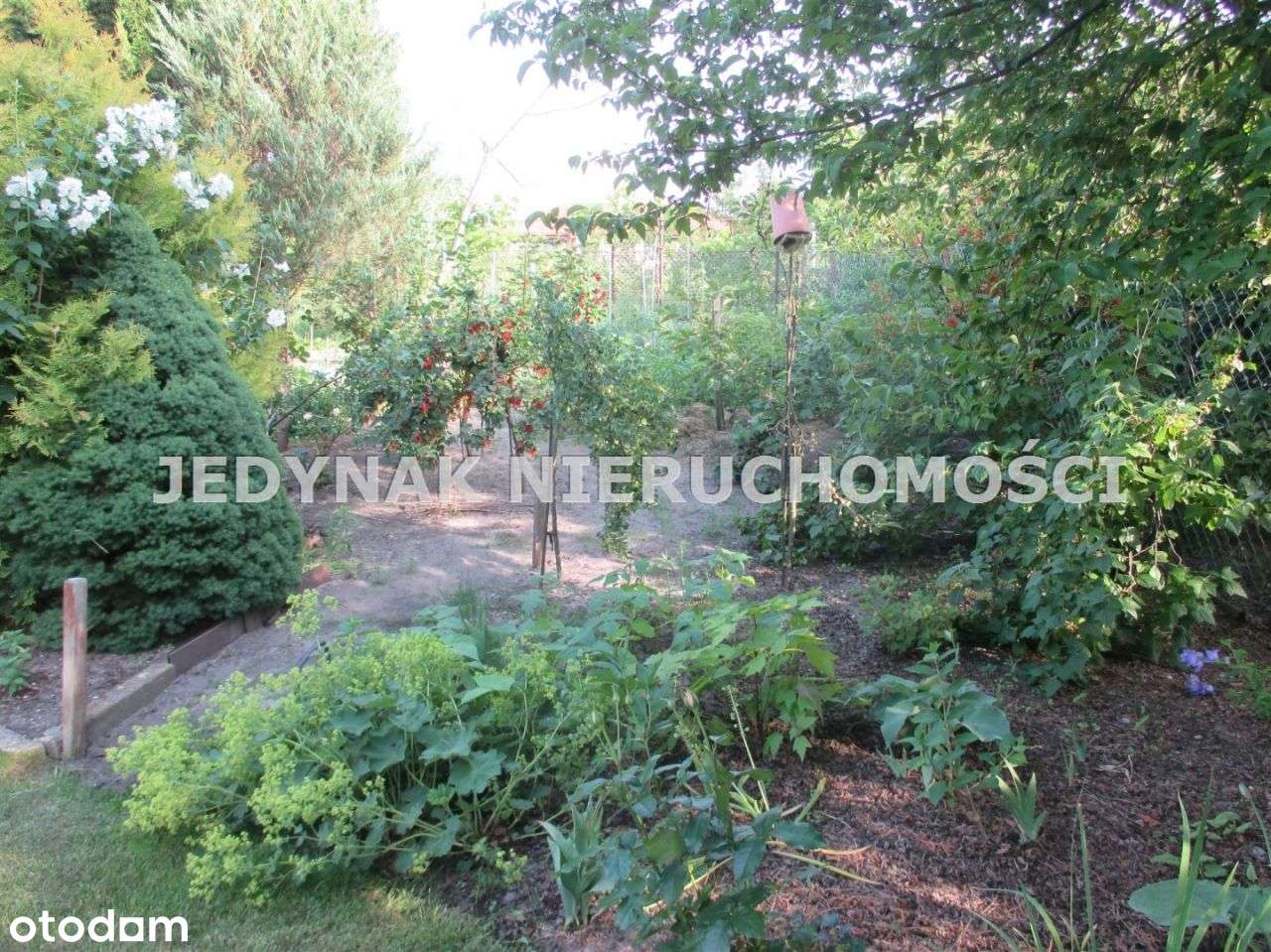 Dom, 96,80 m², Murowaniec-3