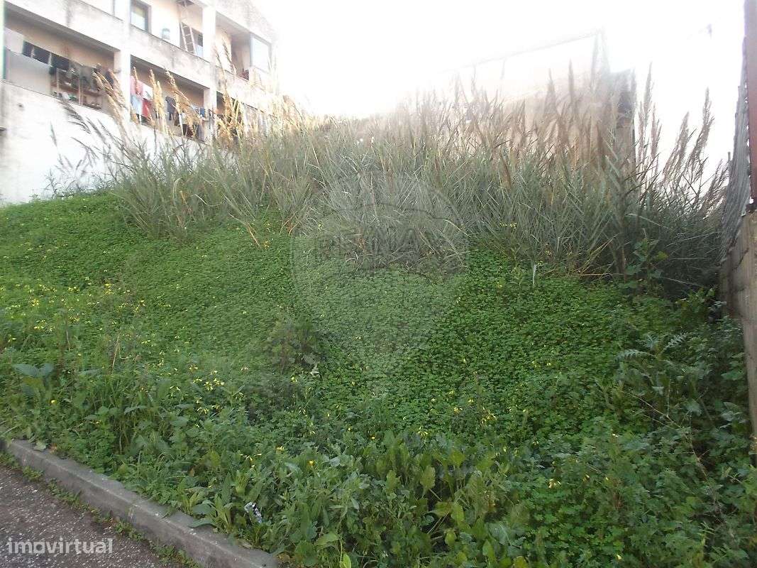 Terreno  para venda - Grande imagem: 5/6