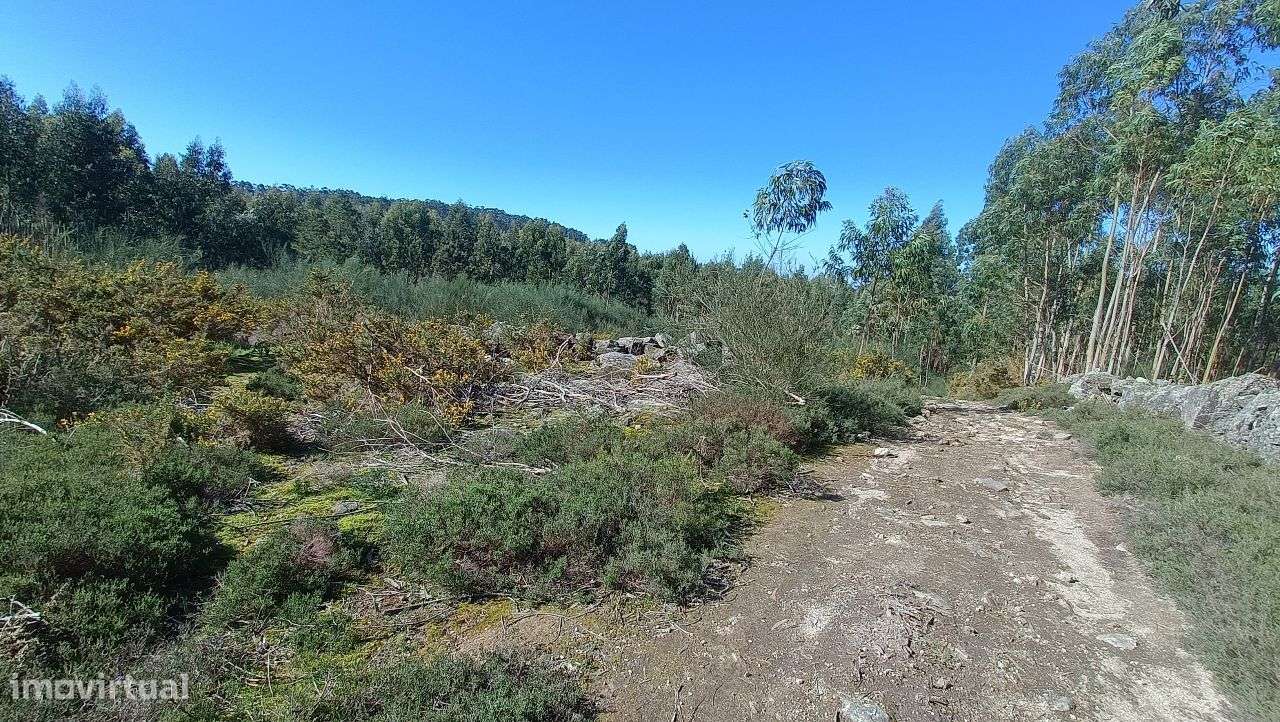 Propriedade Rústica em Santo Tirso-2