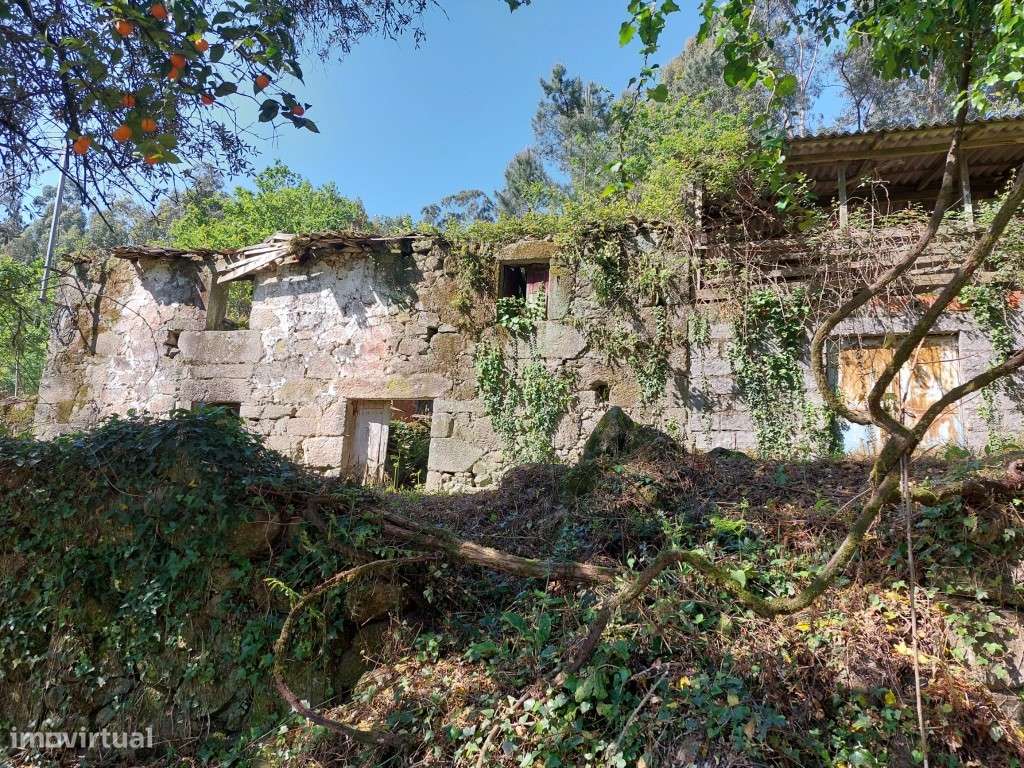 Quinta c/ Casa em Pedra p/ Restauro - Caires - Grande imagem: 1/33