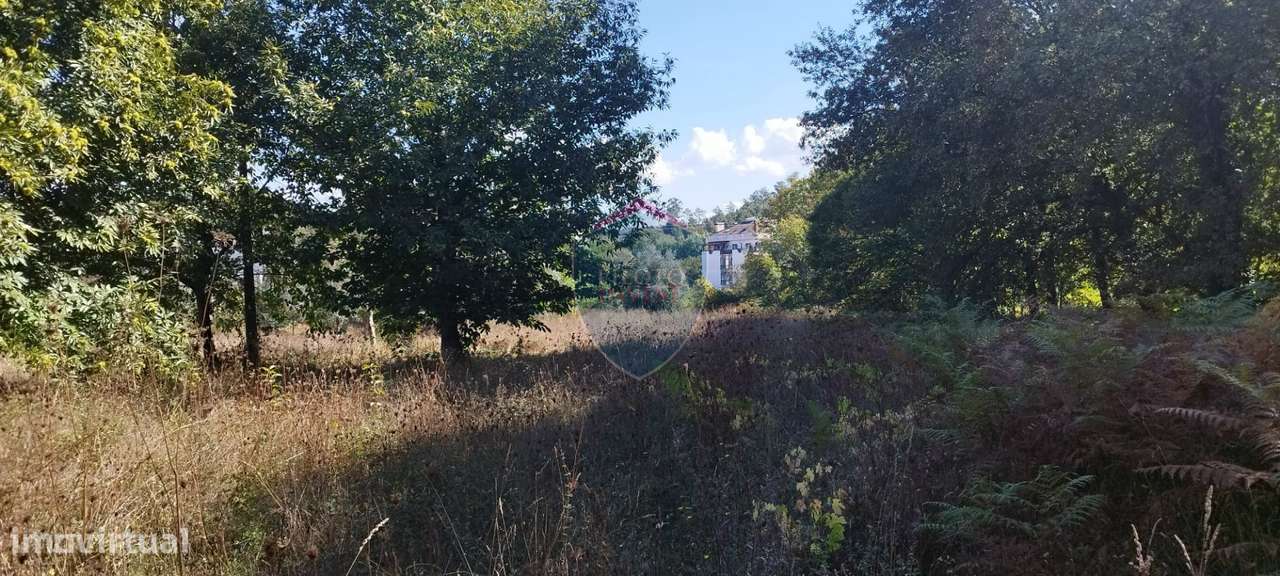 Terreno Rústico  Venda em Viseu,Viseu - Grande imagem: 4/8