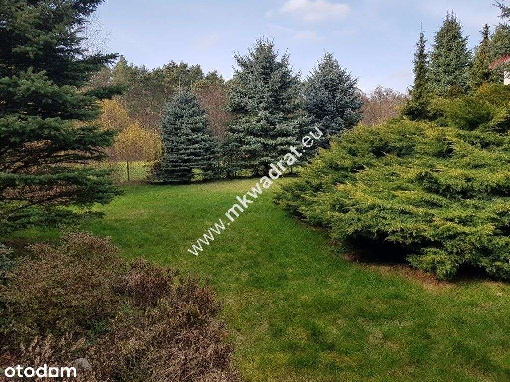 ⭐⭐⭐⭐Lux Działka W Otulinie LasU Idealna cisza ⭐⭐⭐⭐ - Pełny obrazek: 5/9