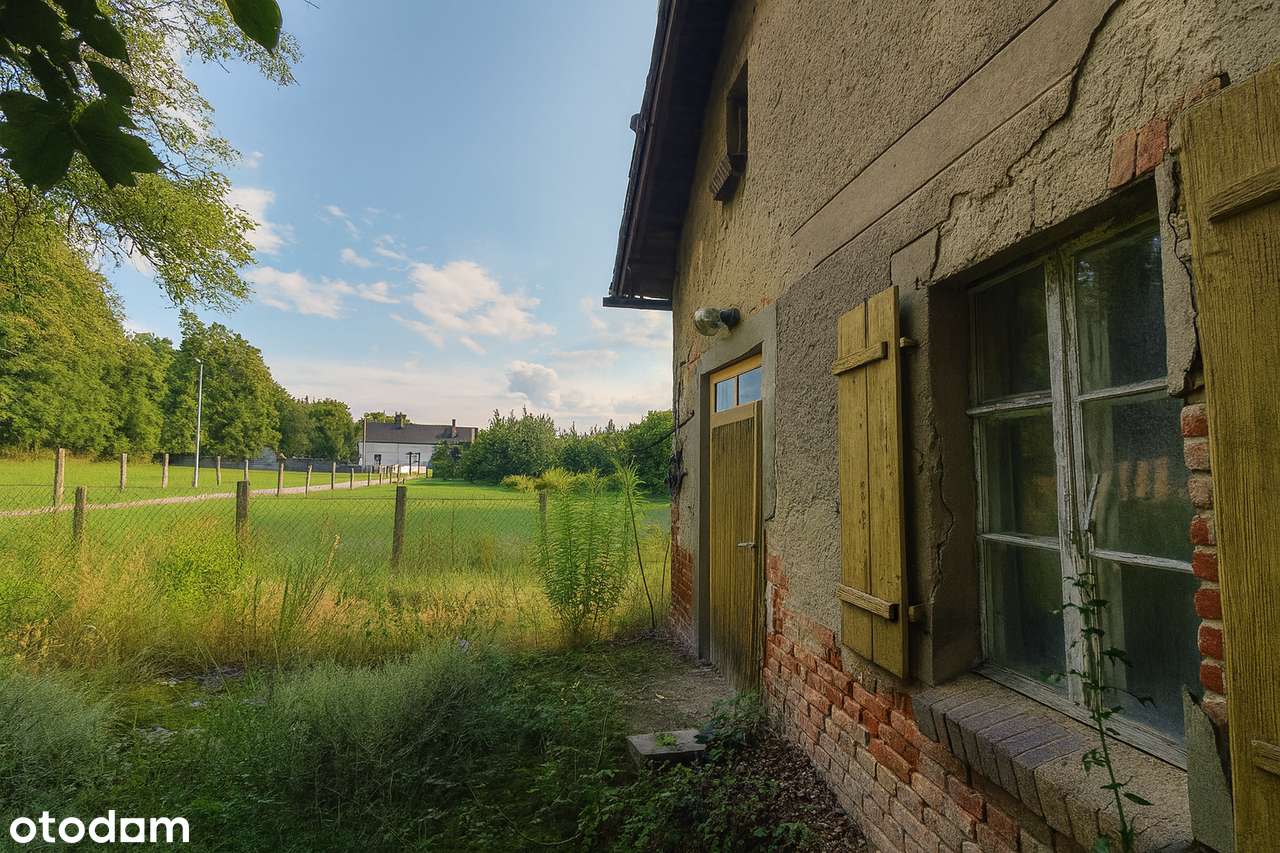 Twój azyl pod lasem – UNIKALNA działka z potencjałem w Wierzonce-10