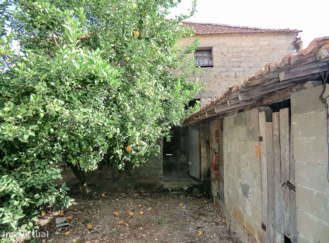 Adega ampla de rés do chão e sótão, Melada, Vilarinho do Bairro - Grande imagem: 4/6