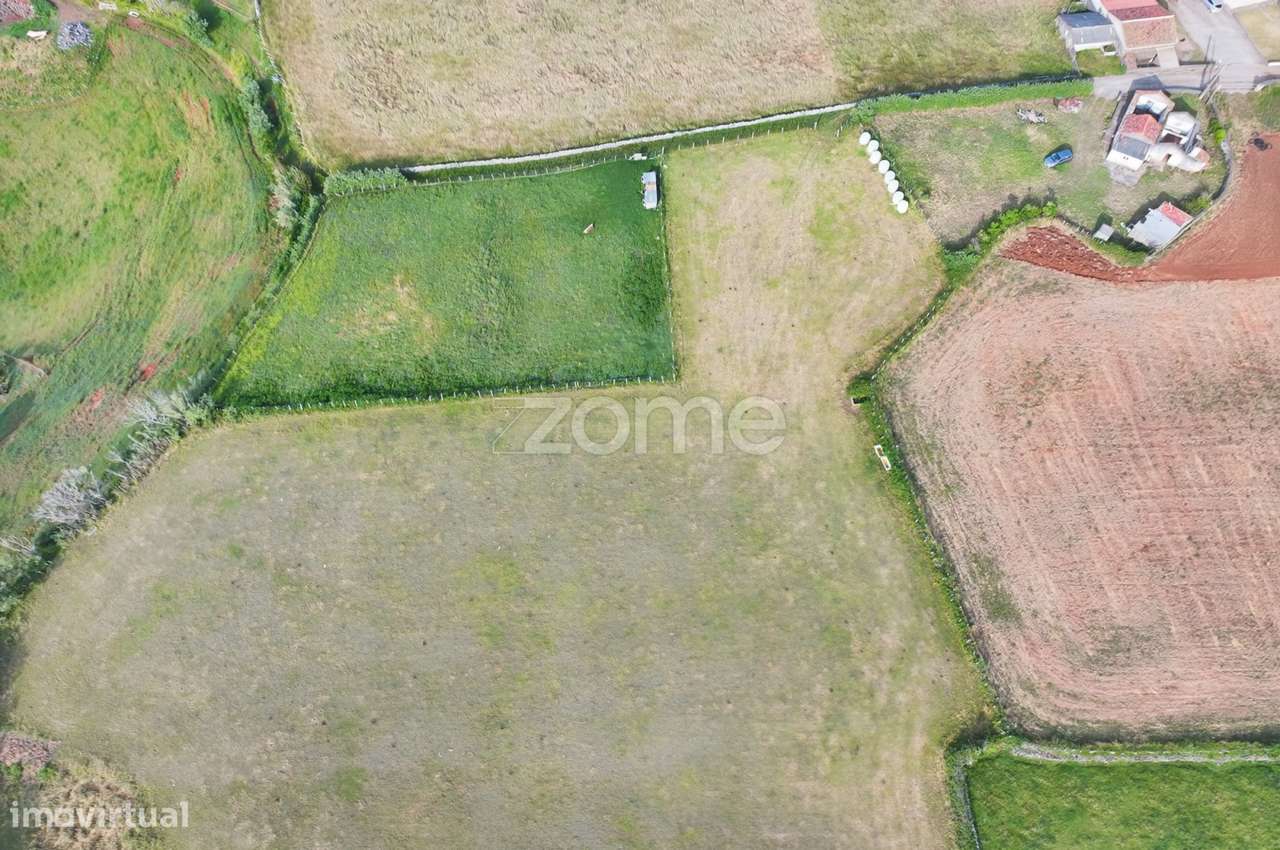 Terrenos Rústicos com Vista Mar – Almagreira | Total: 9.070 m² - Grande imagem: 3/7