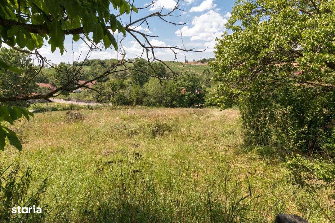 Casa in localitatea Balaia, judetul Bihor-12