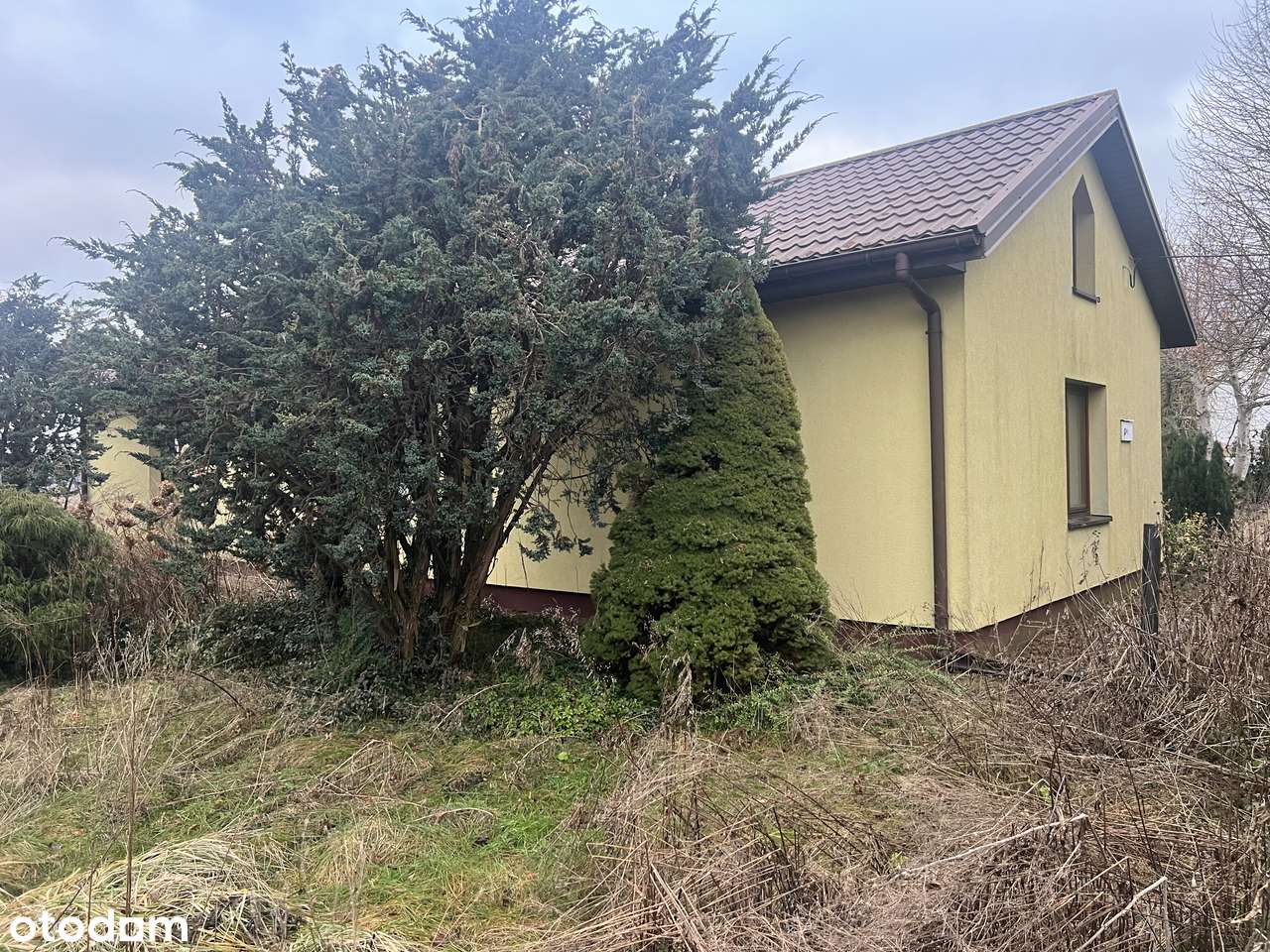 Gospodarstwo +Dom mieszkalny +grunty rolne na sprzedaż - Pełny obrazek: 5/20