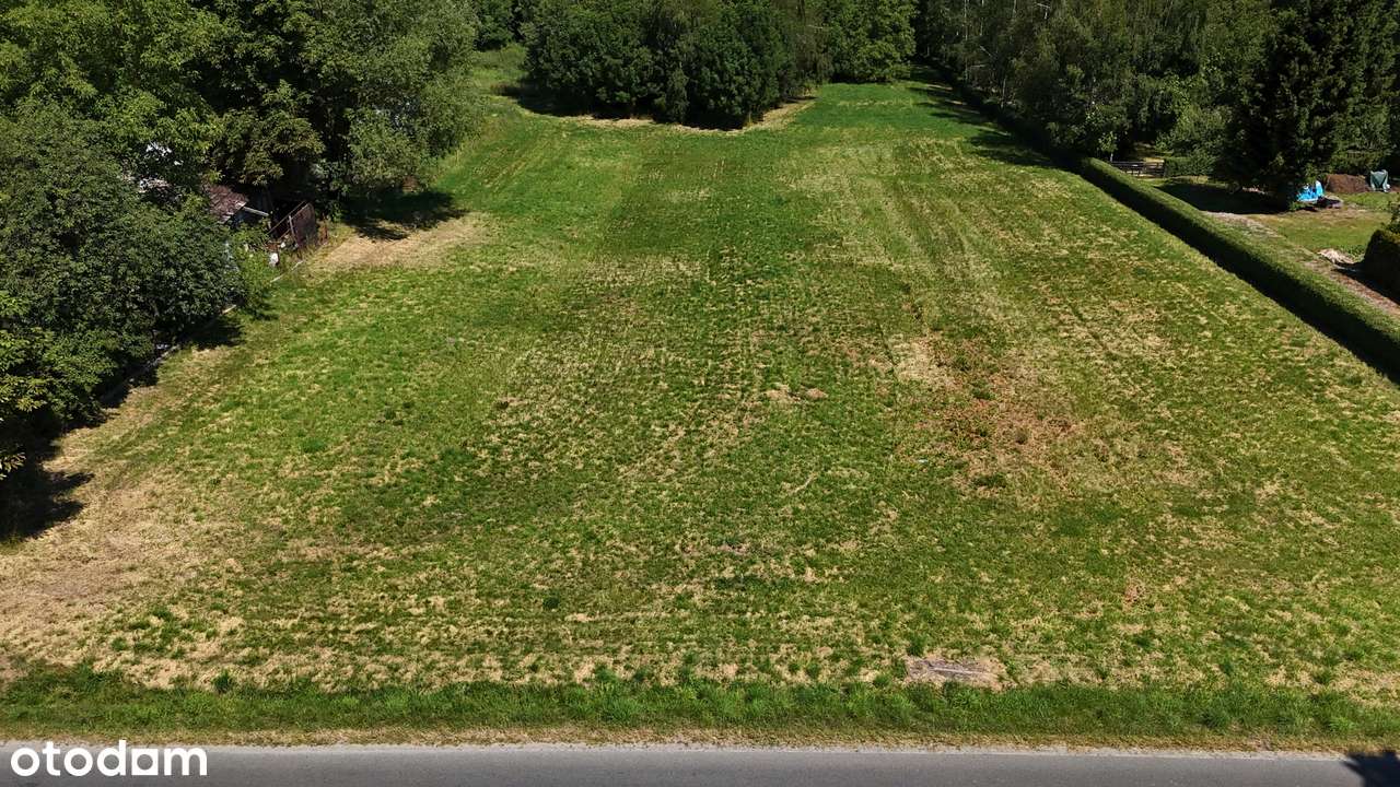 Błękitne Wzgórze | 105,9 ar | Wszystkie media | WZ + projekt PNB - Pełny obrazek: 2/8