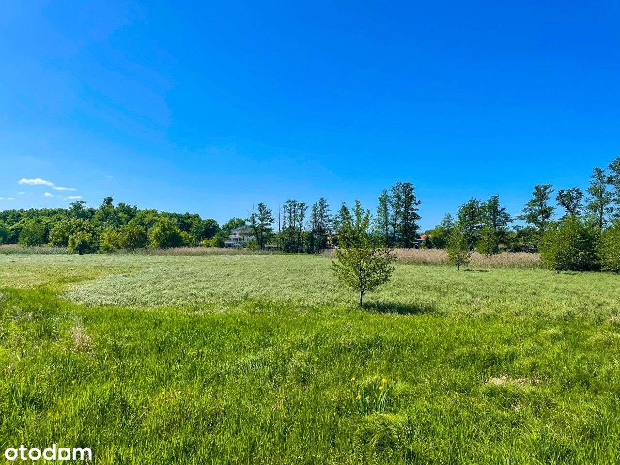 UNIKALNA Działka w Kórniku ! PnB ! Media : W,P,K - Pełny obrazek: 4/16