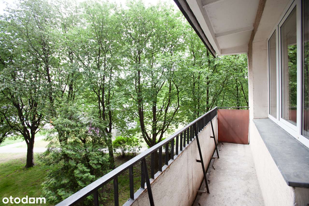 3 pokoje, balkon, widna, komórka, widna kuchnia-2