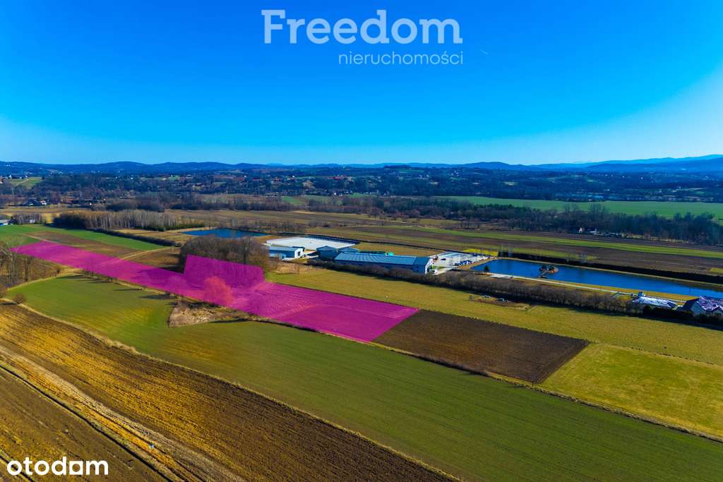 Duża widokowa działka z możliwością podziału! - Pełny obrazek: 4/8