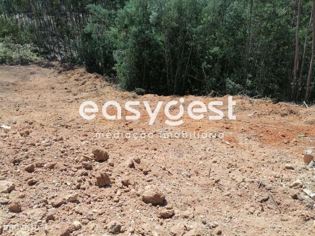 Terreno Com 2000 m2 em São Martinho do Bispo para Construção - Grande imagem: 4/4