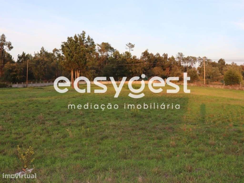 Terreno c/ 3680m2 no Louriçal - Grande imagem: 4/6