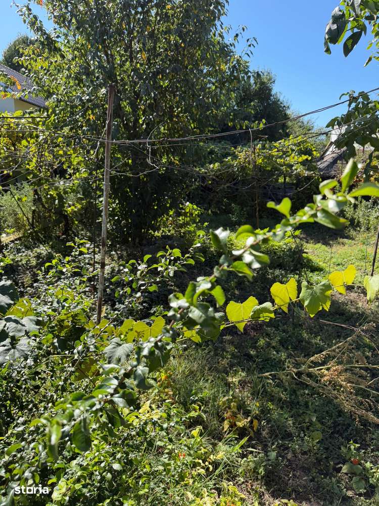 Vand Teren intravilan stradal  ,   pe strada  Bucegi - Imagine principală: 5/12