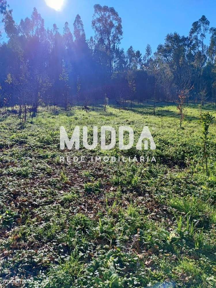 Terreno rústico com 3.370 m2 - Grande imagem: 3/5