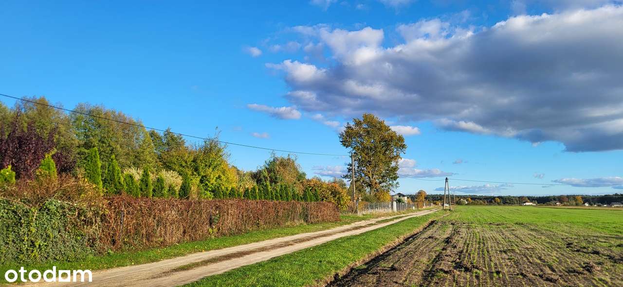 Działka z warunkami zabudowy Wilków gm. Dalików - Pełny obrazek: 2/20