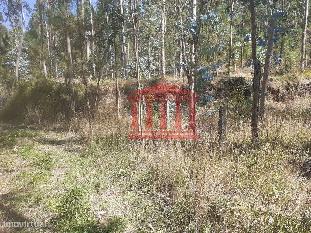 BOUÇA - Grande imagem: 5/26