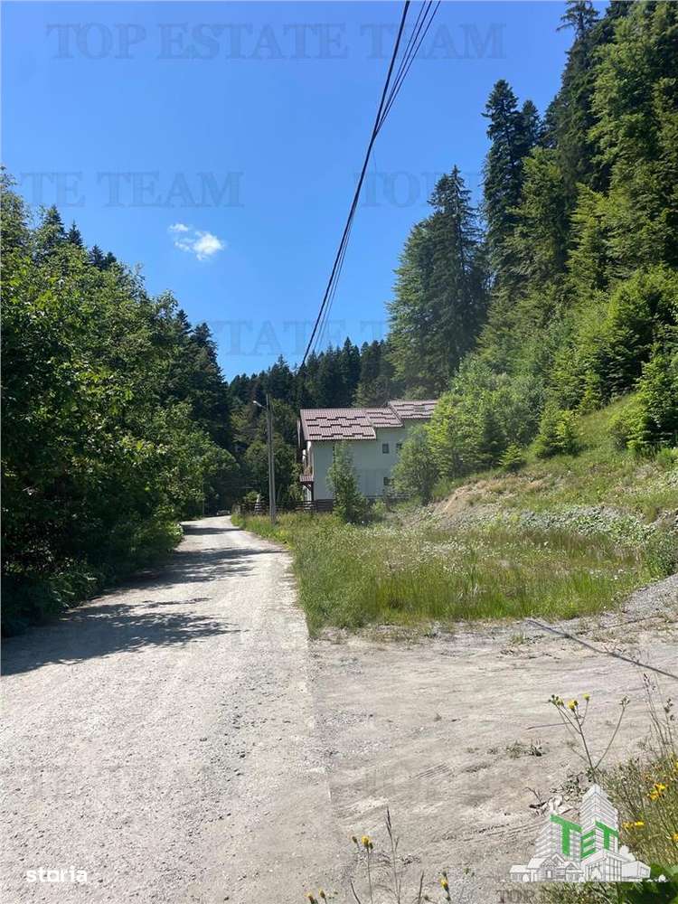 IDEAL INVESTITIE TEREN PREDEAL, 1936 mp intravilan, toate utilitatile, - Imagine principală: 5/6