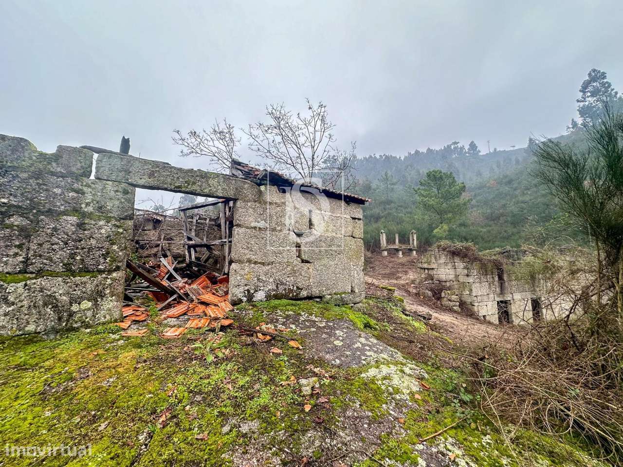 Quinta em Bustelo - Amarante - Grande imagem: 3/15