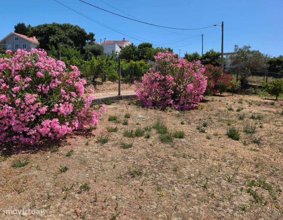 Moradia T3 com quintal e poço em Aldeia Gavinha uma mini quinta - Grande imagem: 5/17
