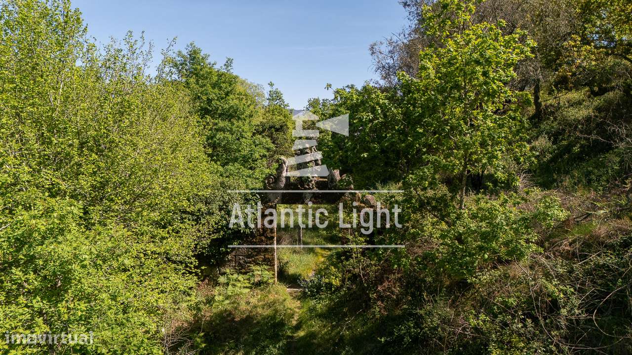 Quinta com 33 Hectares e acesso a Rio - Marco de Canavezes, Porto-24
