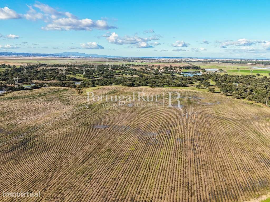 Herdade de 60 hectares para criação bovina e equina perto de Lisboa-31