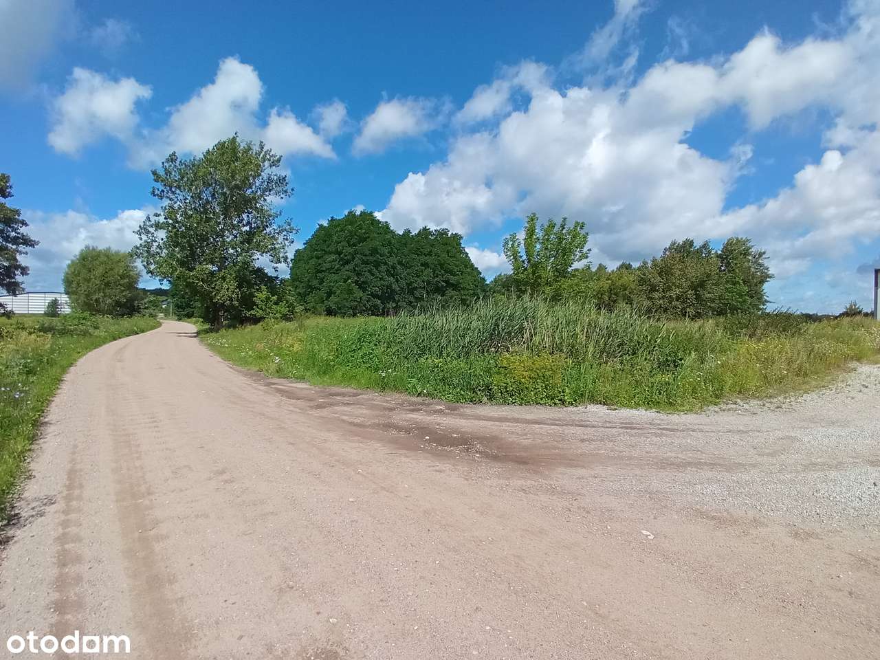 Działka pod hale  blisko drogi krajowej - Pełny obrazek: 5/8