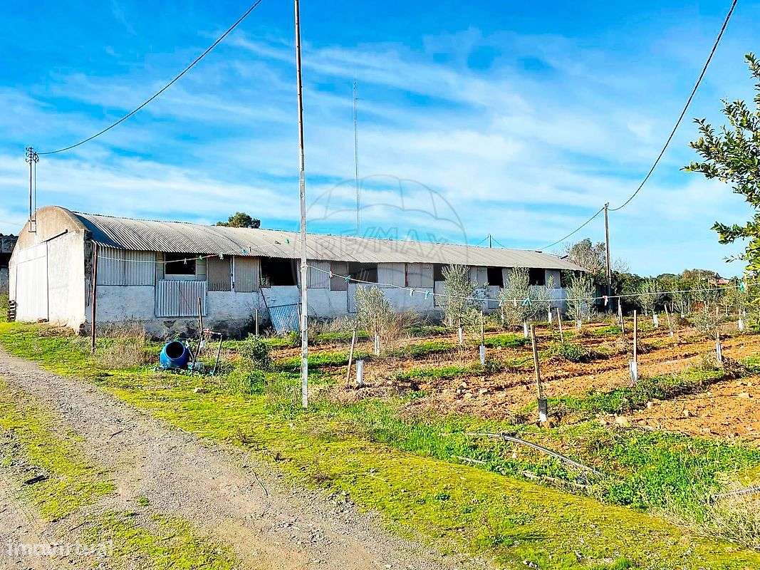 Quinta  para venda-25