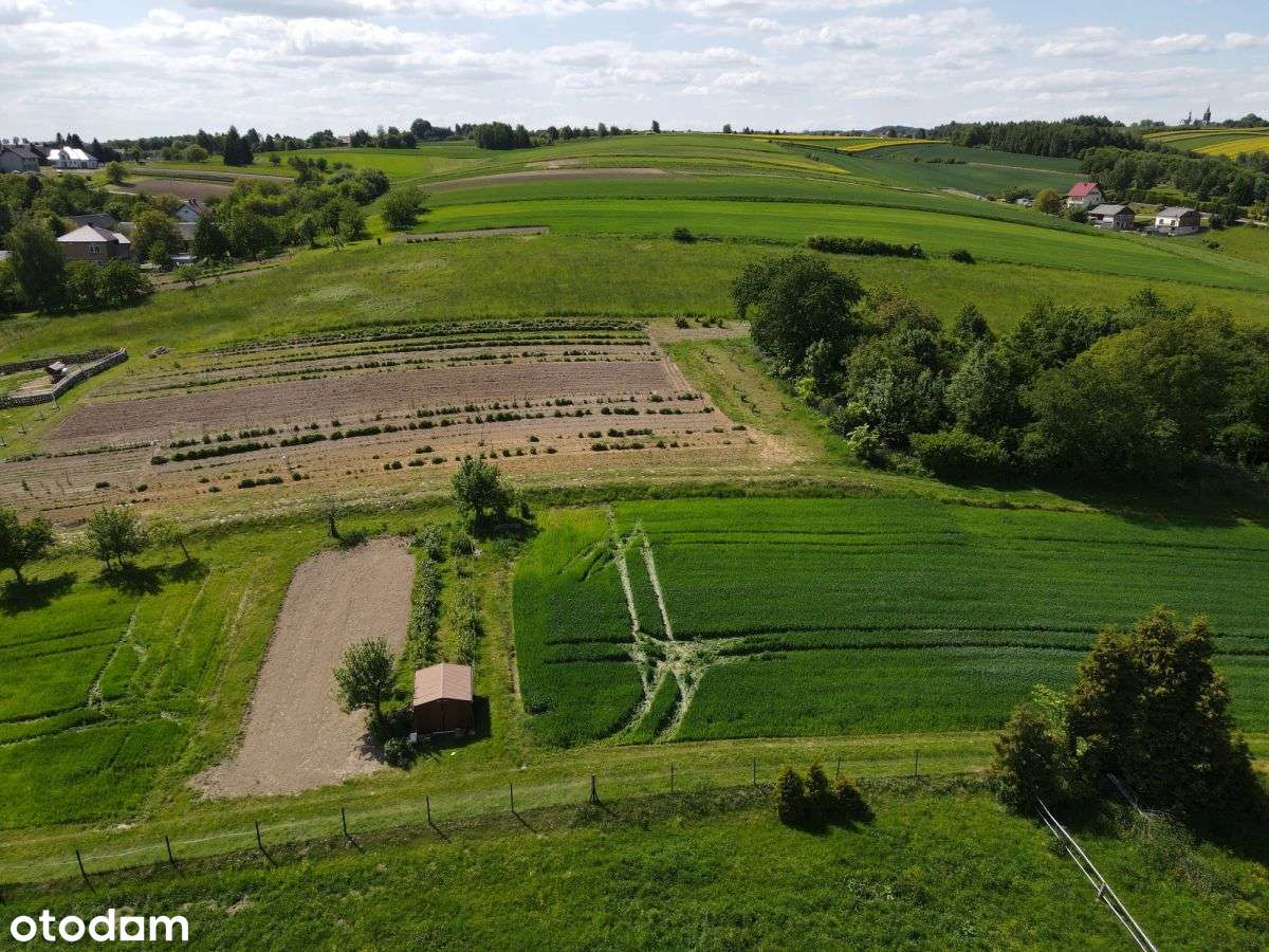 Piękna działka Widokowa Maszyce - Pełny obrazek: 4/5