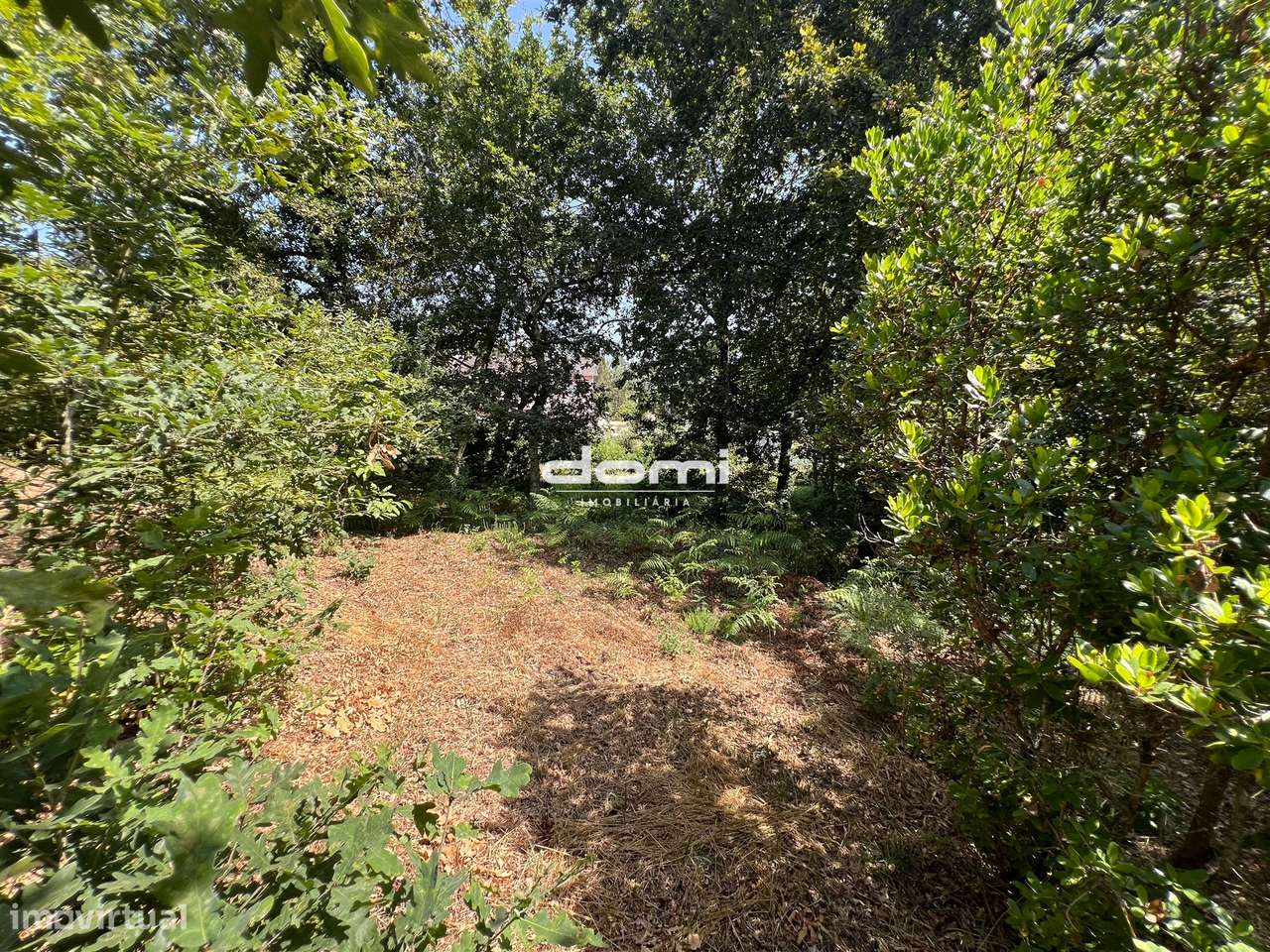 Terreno com viabilidade de construção – São Pedro do Sul - Grande imagem: 5/13