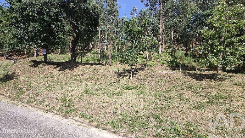 Terreno Agrícola em Valença, Cristelo Covo e Arão - Grande imagem: 3/3